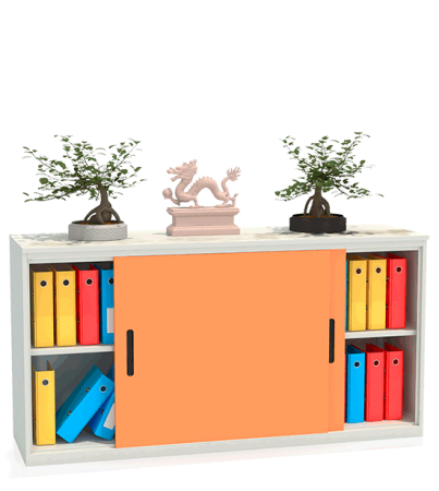 Шкаф-купе архивный ALS-8818