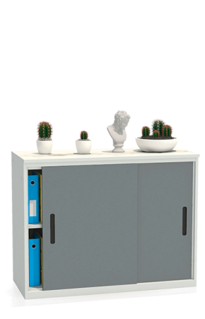 Шкаф-купе архивный ALS-8812