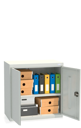 Шкаф архивный ШХА/2-900(50)