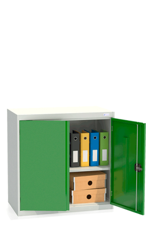 Шкаф архивный ШХА/2-900(50)