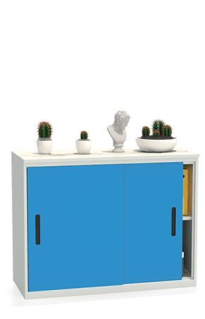 Шкаф-купе архивный ALS-8812