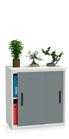 Шкаф-купе архивный ALS-8896